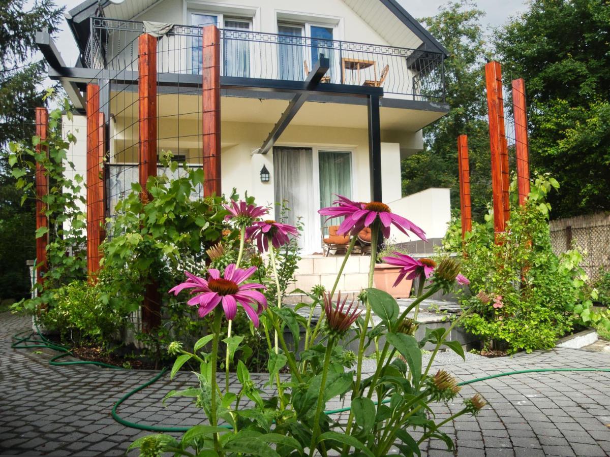 Villa Hasaba Крошенко Екстериор снимка