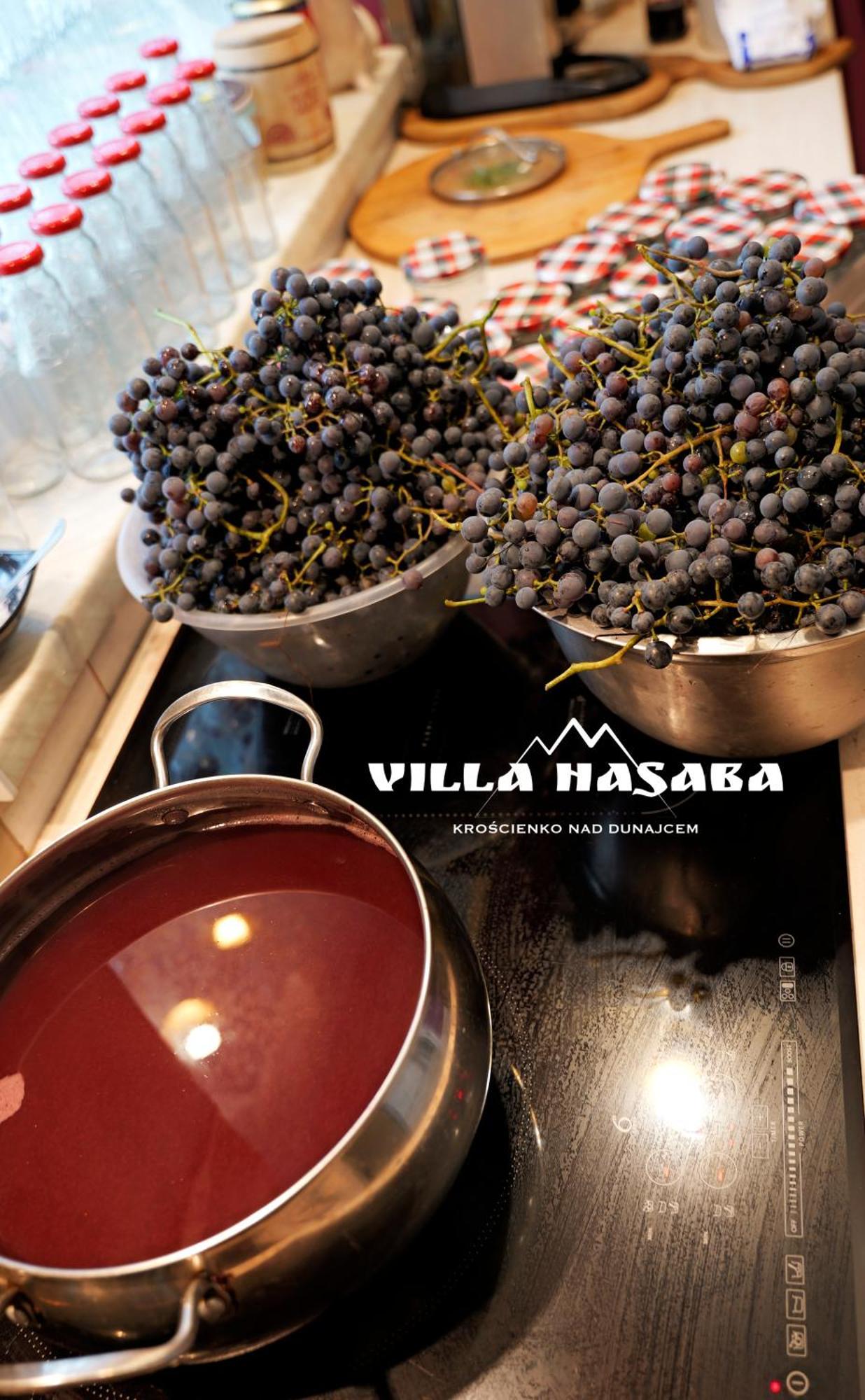 Villa Hasaba Крошенко Екстериор снимка