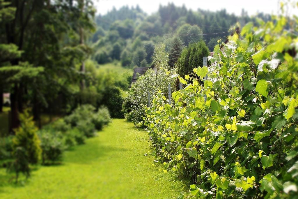 Villa Hasaba Крошенко Екстериор снимка